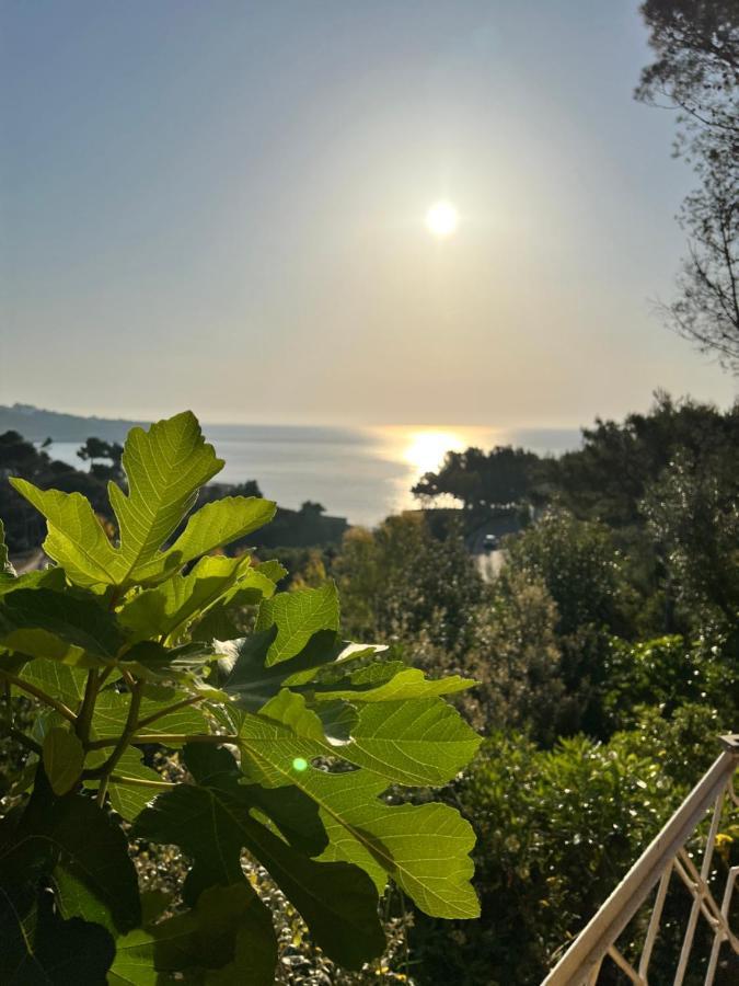 마리티마 Limonaia In Salento 빌라 외부 사진