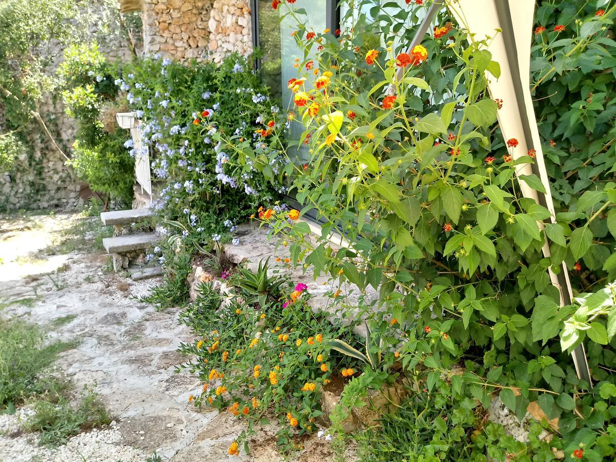 마리티마 Limonaia In Salento 빌라 외부 사진